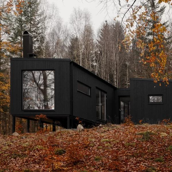 modulhus nyckelfardigt svart modernt i skogen