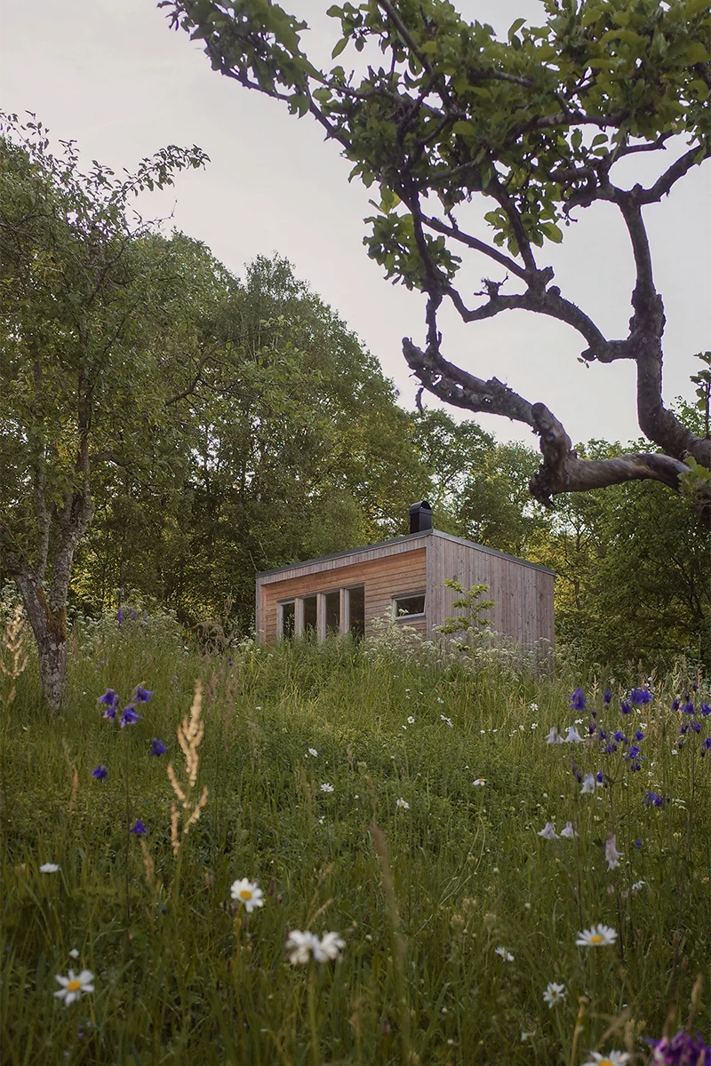 Exteriör i träpanel på visningshuset i Steninge, omgivet av träd och en äng med blommor och växter