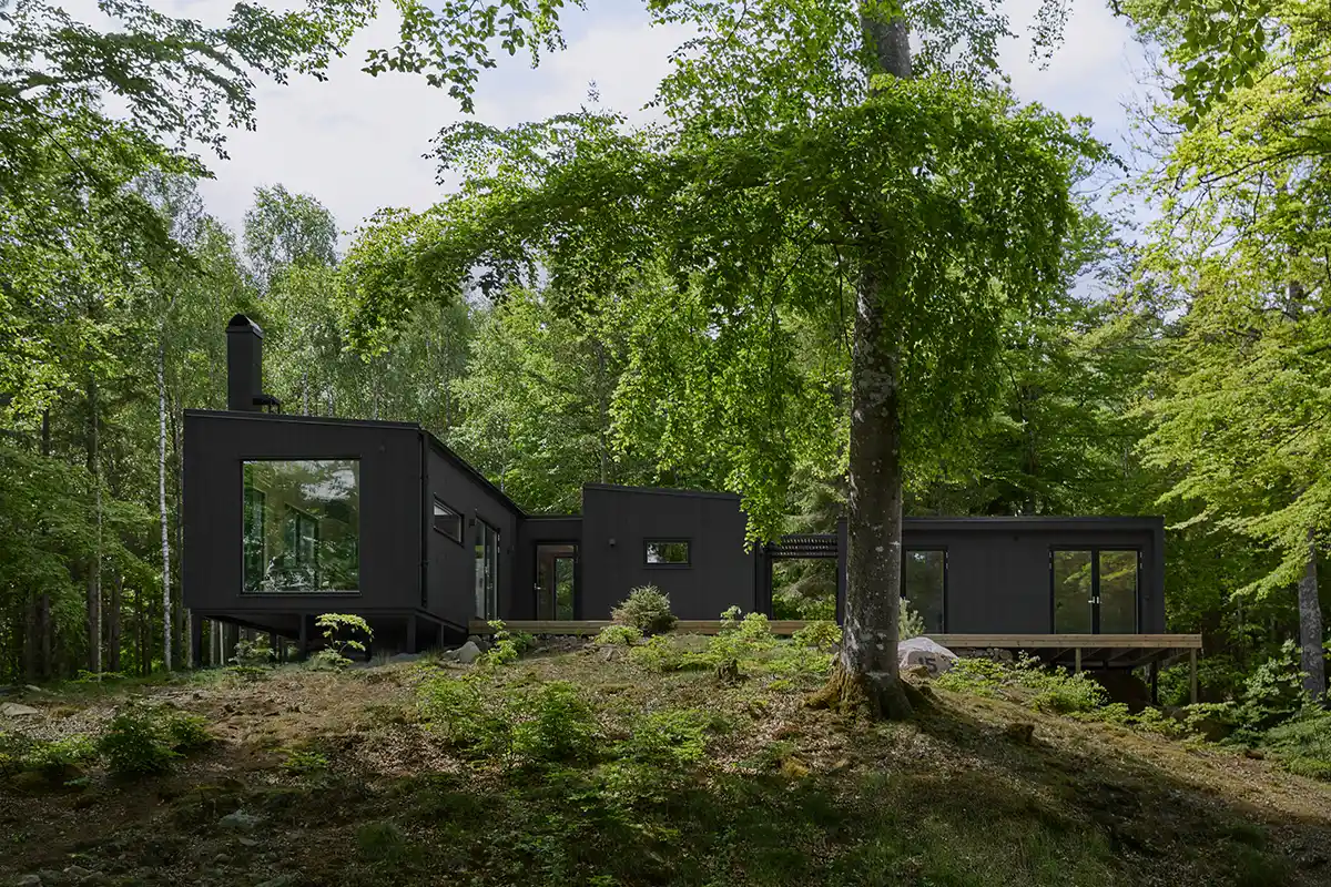 Svart modulhus 90 kvm med stora fönster i en grön skog