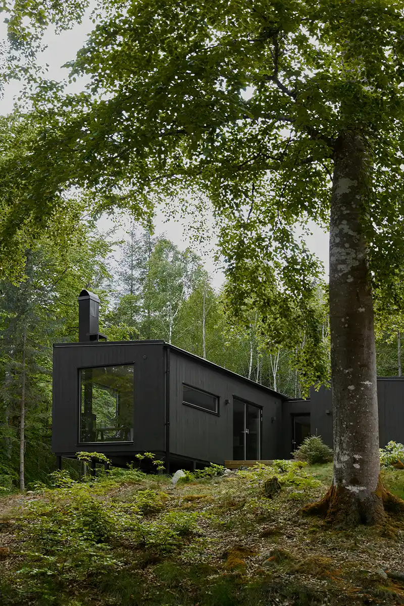 Svart modulhus 90 kvm med stora fönster i en grön skog