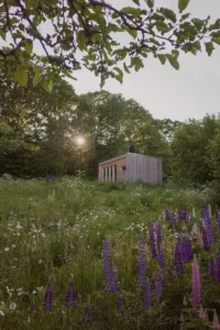 fragestund med enkelrumagare 03