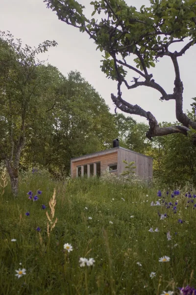 Trähus på en blomsteräng med träd i bakgrunden