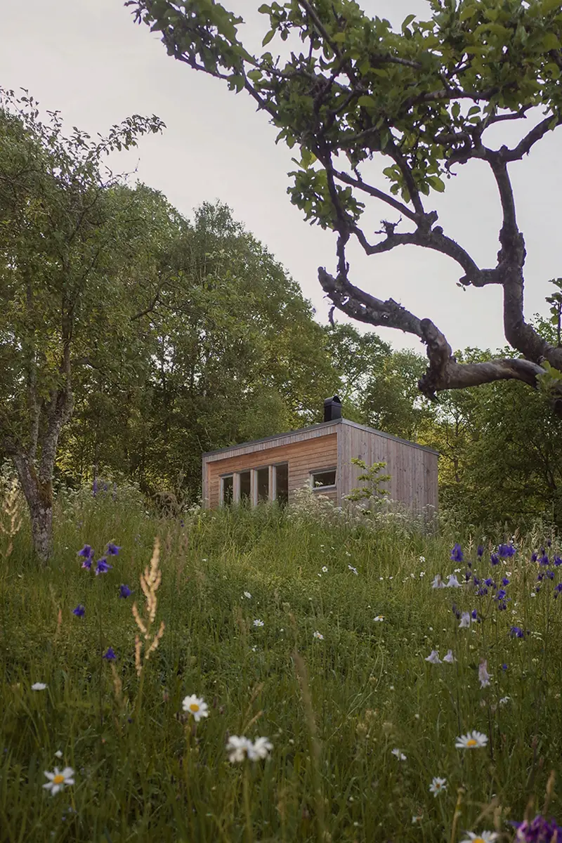 Trähus på en blomsteräng med träd i bakgrunden