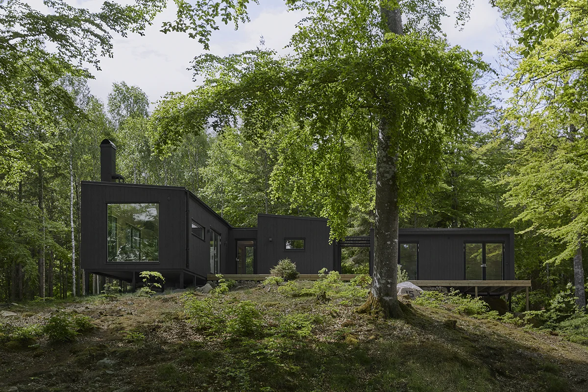 hus i skogen med svart fasad