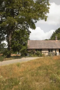 Gammalt hus bredvid ett träd