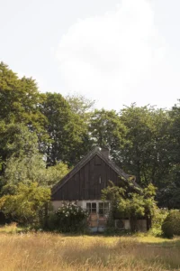 Gammalt hus omgivet av grönska