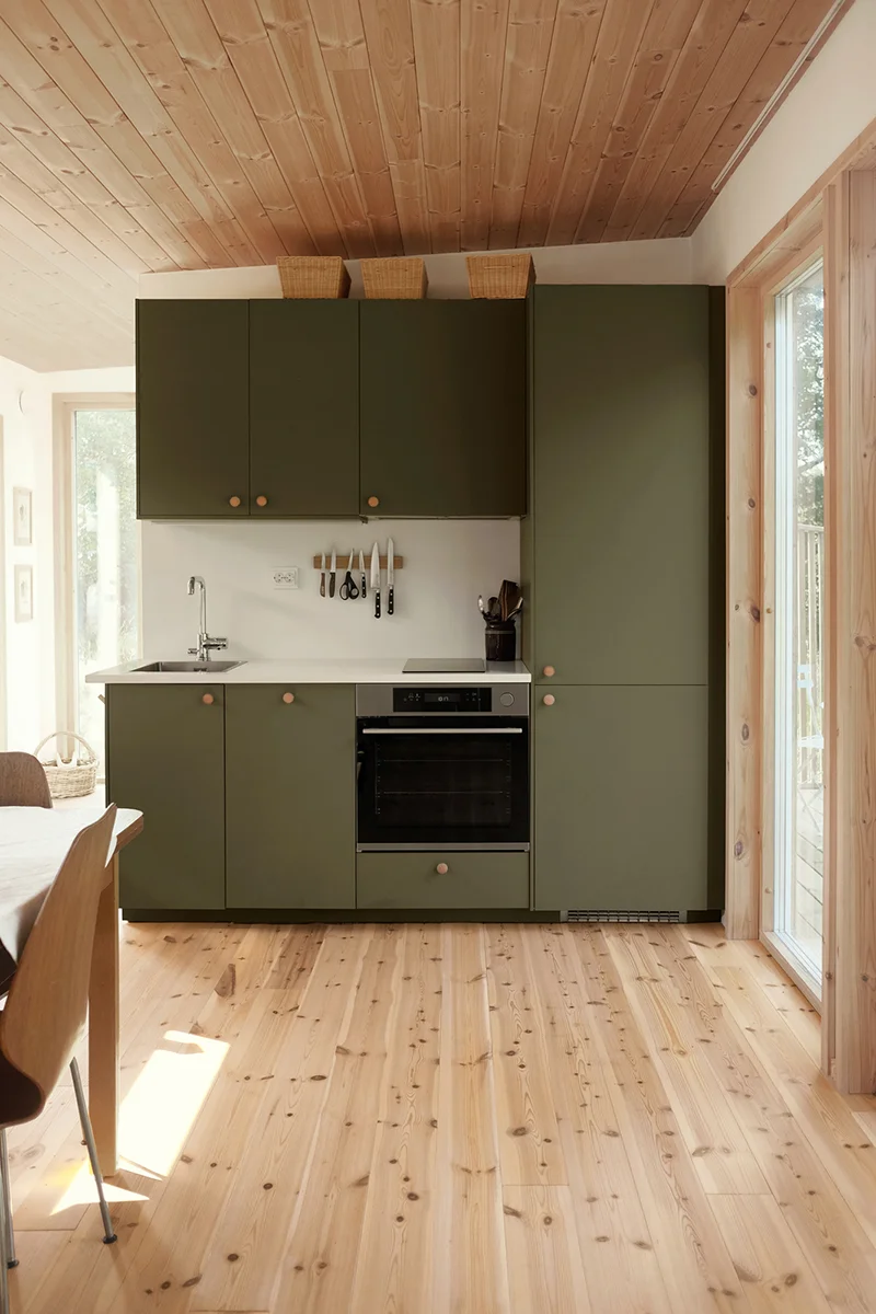 Compact home 38 sqm, green kitchen