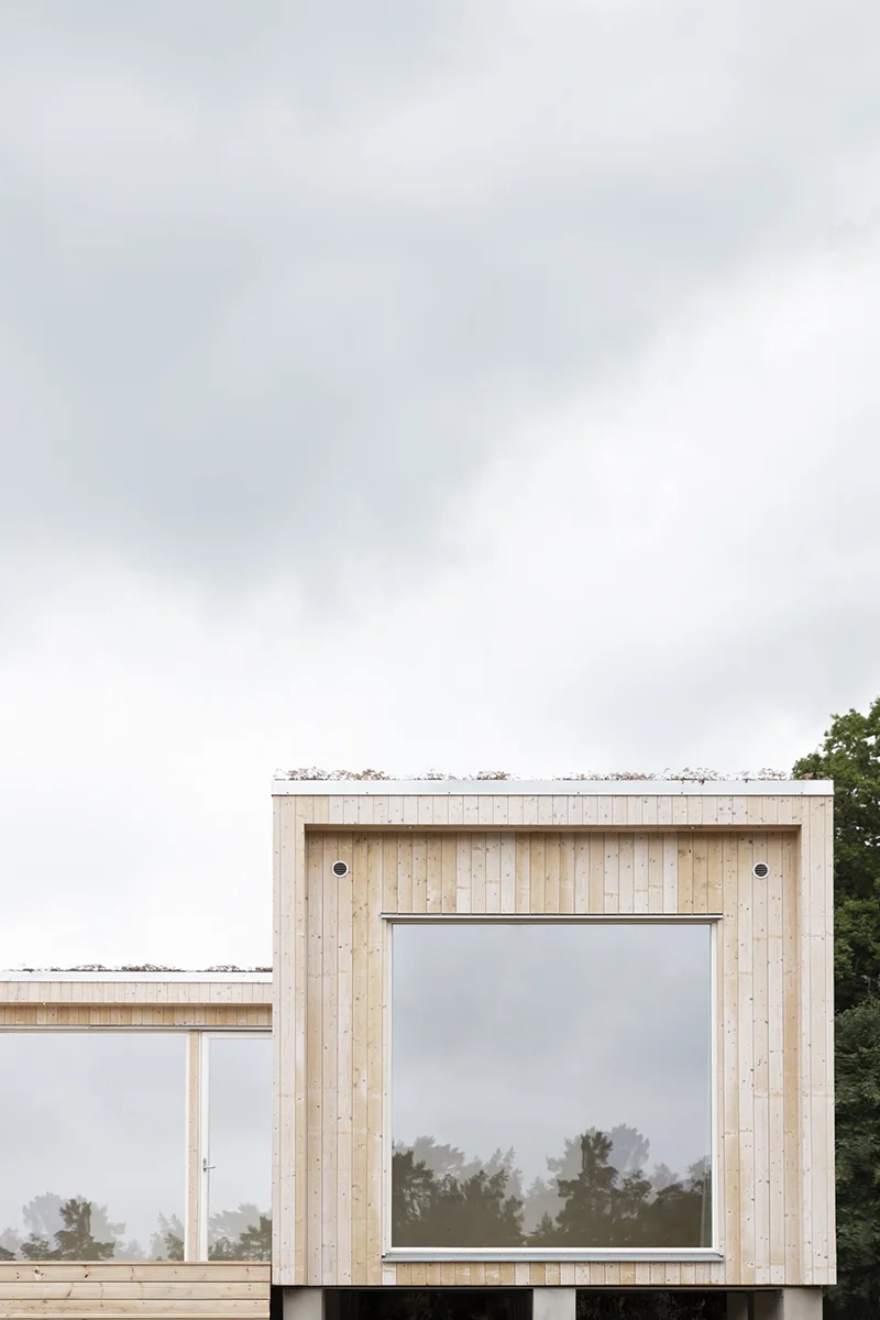 Fritidshus med ljus träpanel och sedumtak