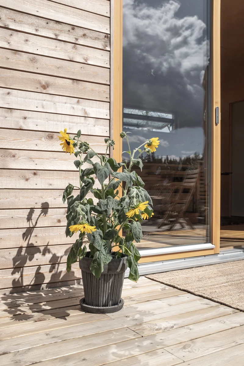 Holiday cabin 34 sqm, exterior detail of a flower pot