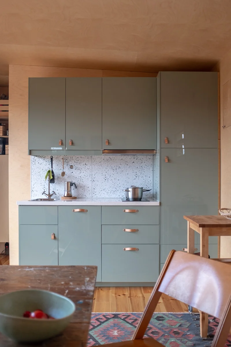 Holiday cabin 34 sqm kitchen in green