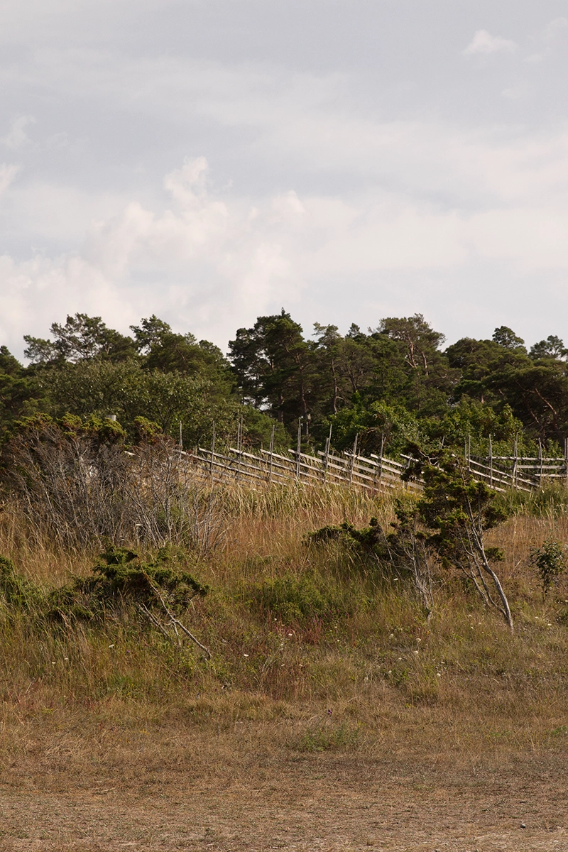 gotland natur landskap