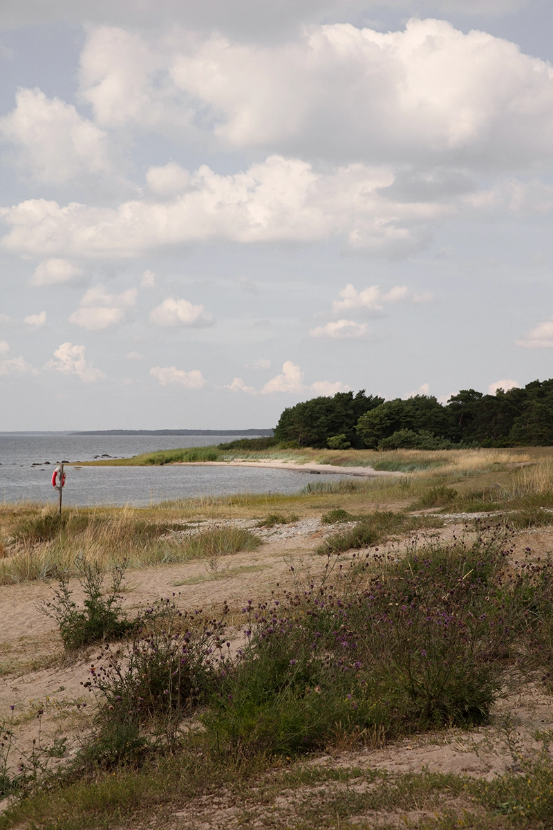 gotland kust