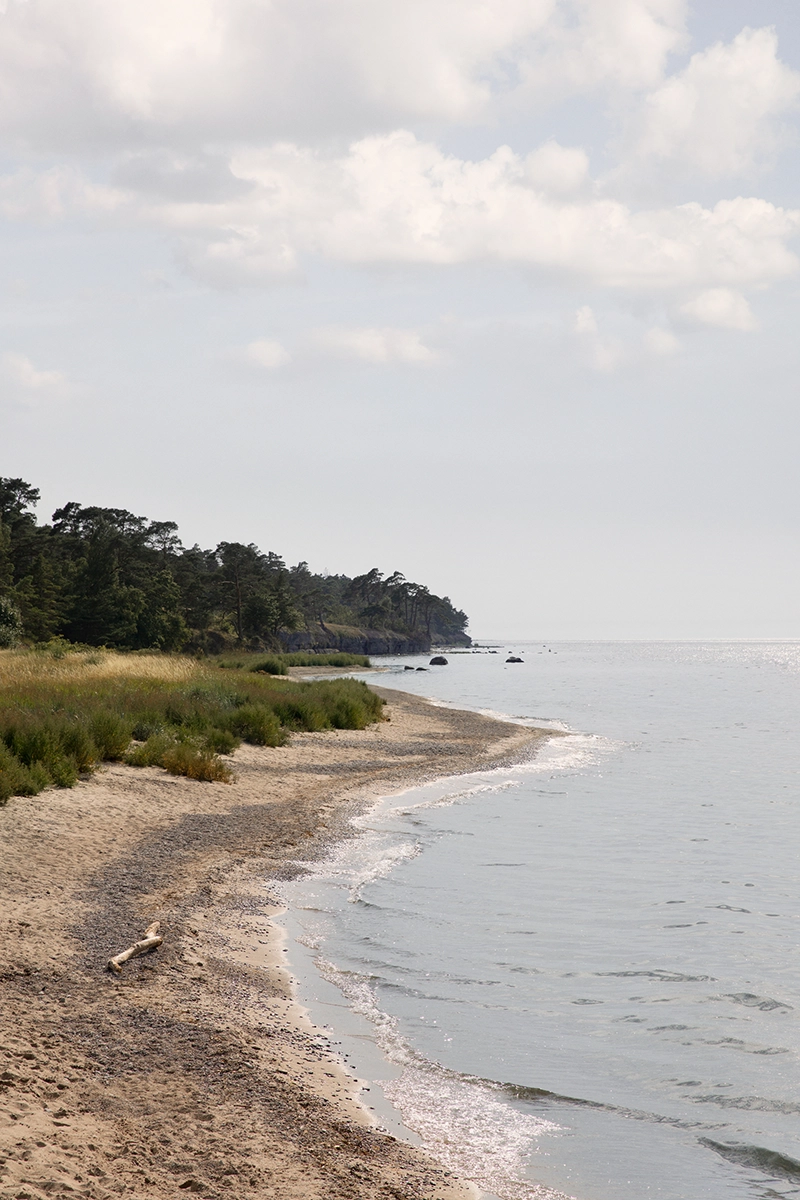 gotland kustlinje
