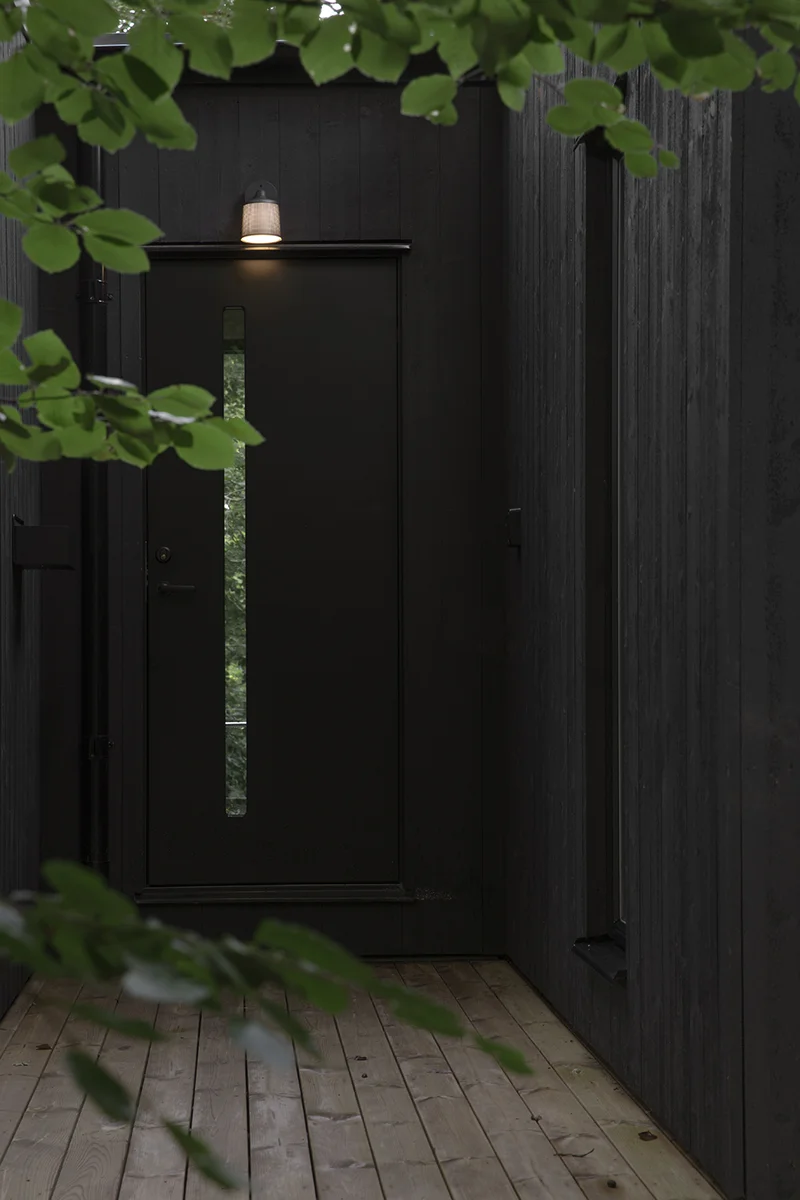 Detail of a black door with a lamp above. Green leaves in the foreground