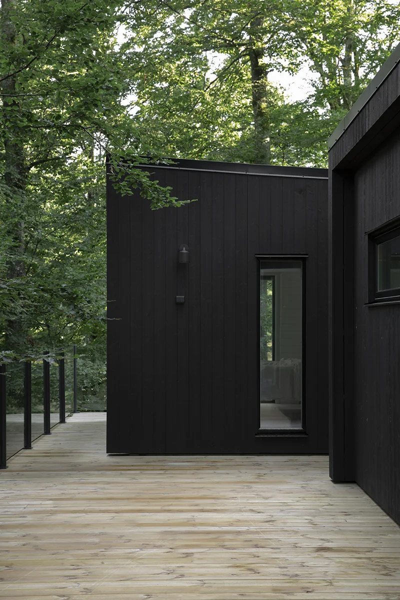 House with black wooden panel, vertical window, surrounded by green leaves