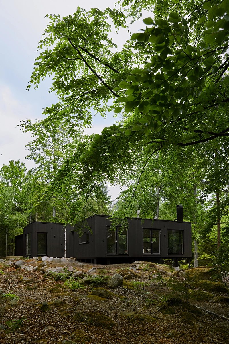 svart modernt hus i naturen